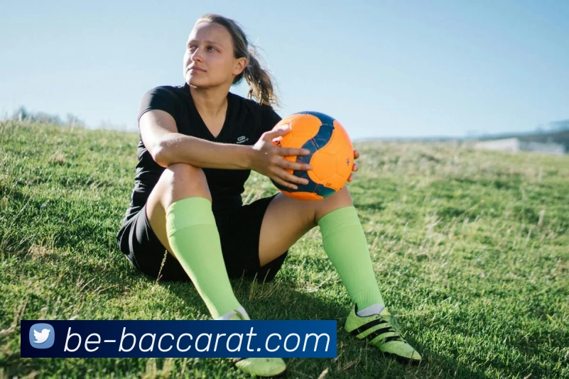 百家乐官网平台生态图